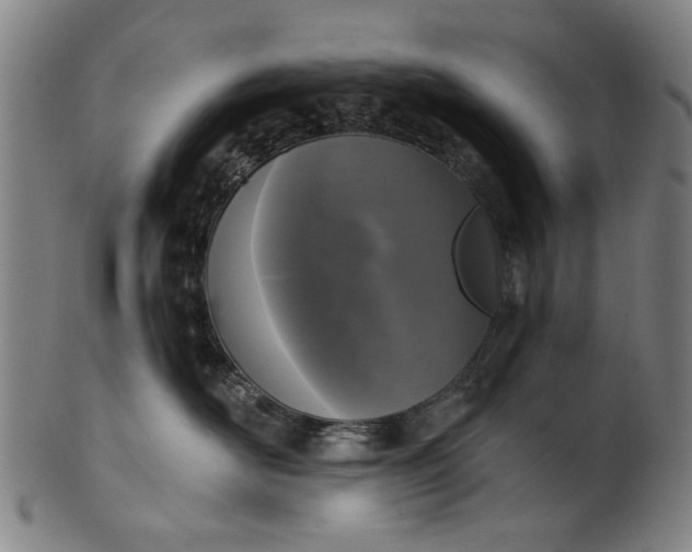 X0000101230526200807111123