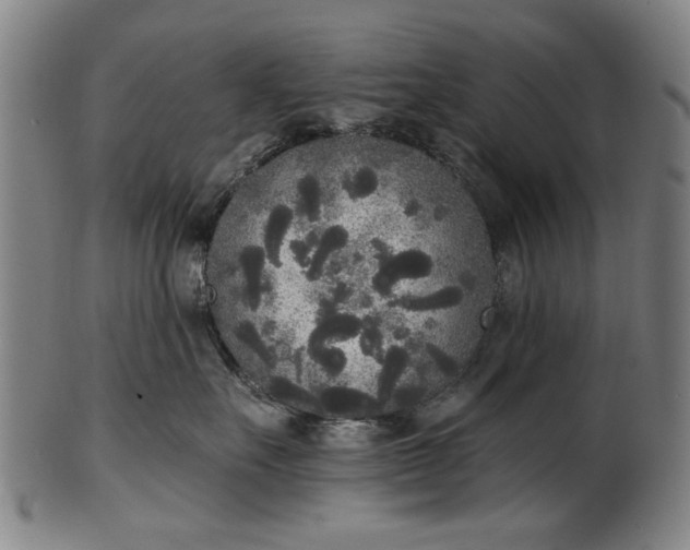 X0000101230527200807111123