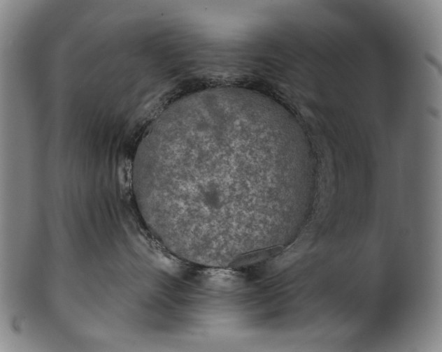 X0000101230528200807111123