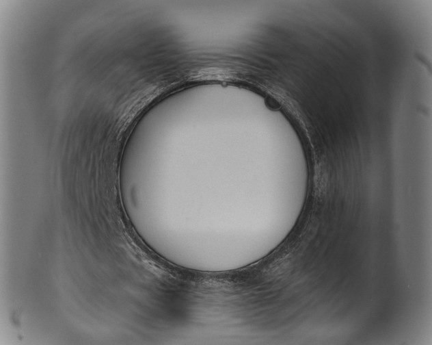 X0000101230529200807111122