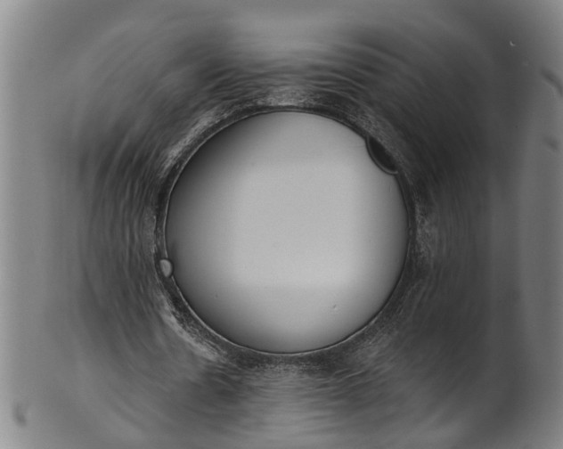 X0000101230530200807111122