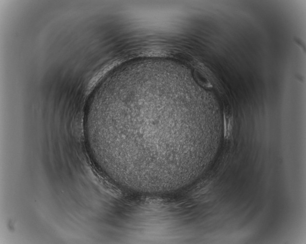 X0000101230531200807111122