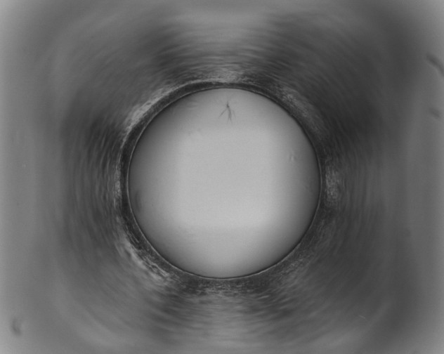 X0000101230532200807111122