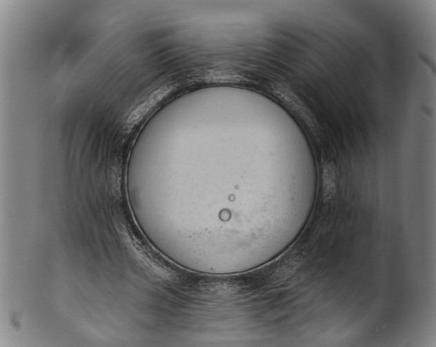 X0000101230533200807111122