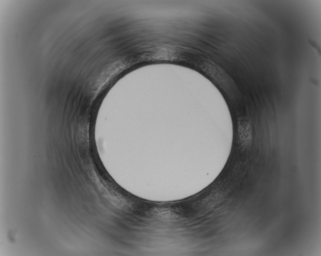 X0000101230534200807111122