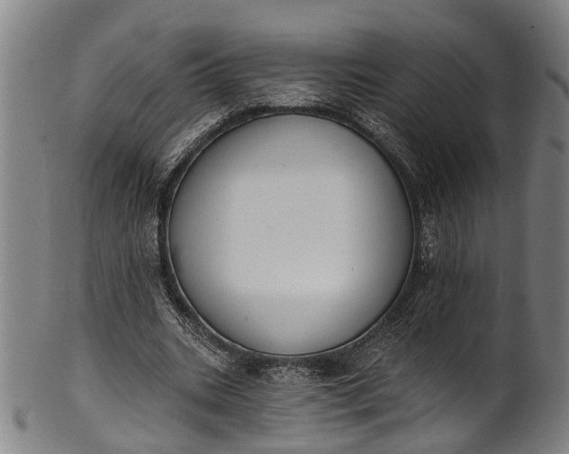 X0000101230535200807111122