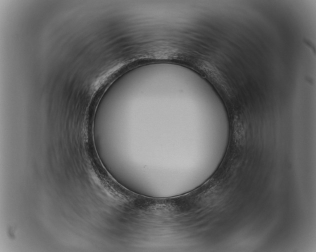 X0000101230536200807111122