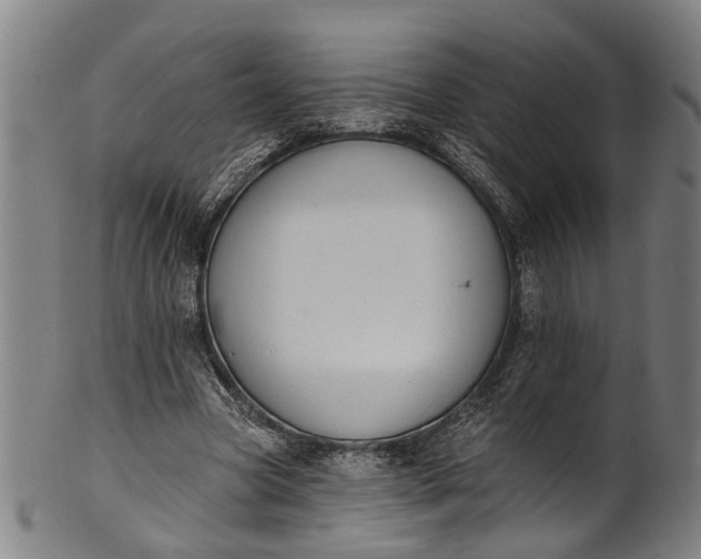 X0000101230537200807111122