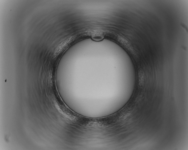 X0000101230538200807111122