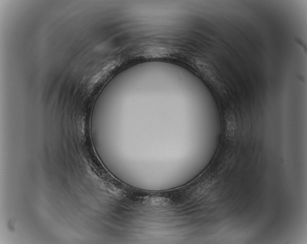 X0000101230539200807111122