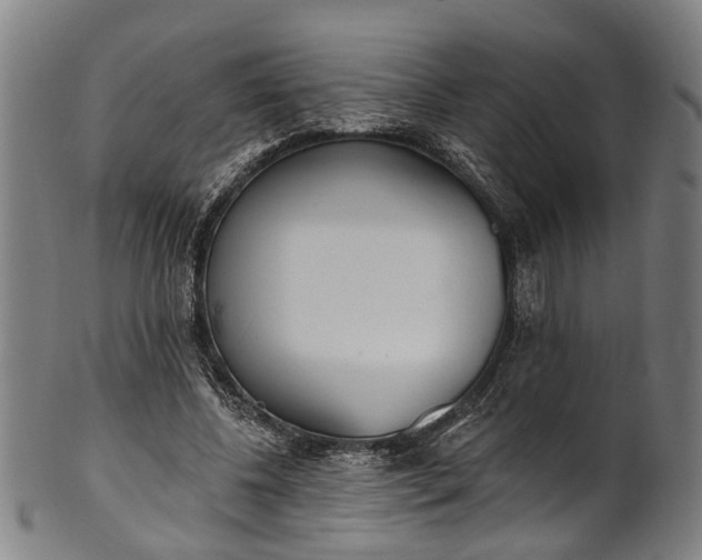 X0000101230540200807111122