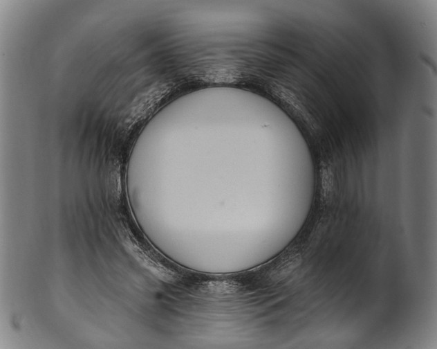 X0000101230541200807111122