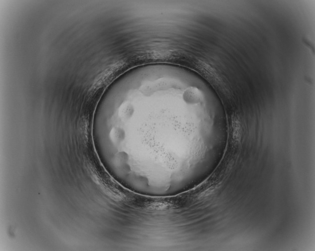 X0000101230542200807111122