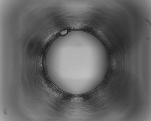 X0000101230543200807111122