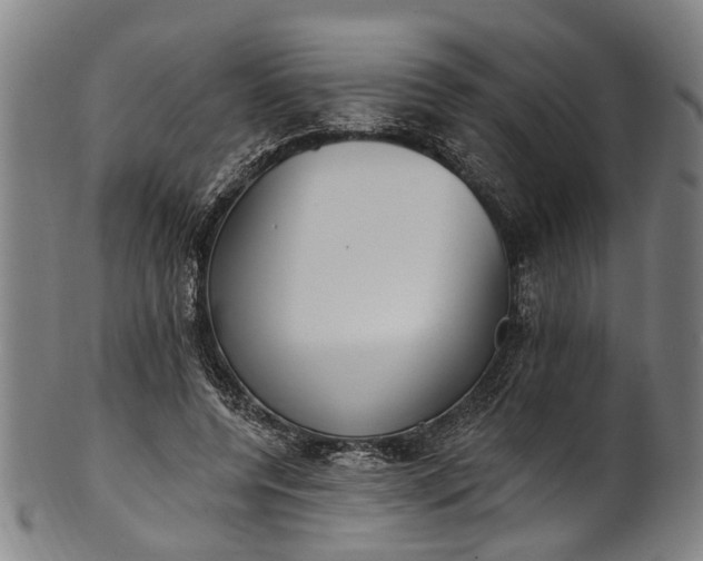 X0000101230544200807111122