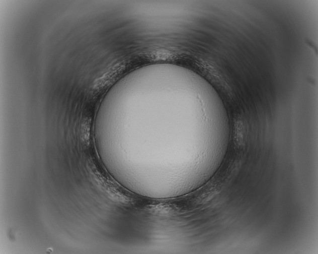 X0000101230545200807111122