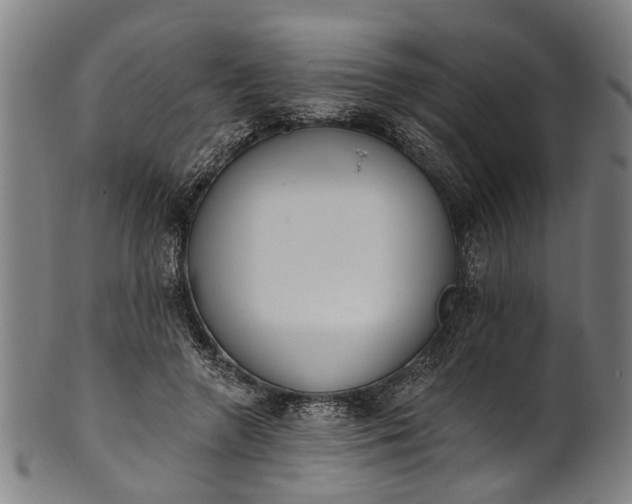 X0000101230546200807111122