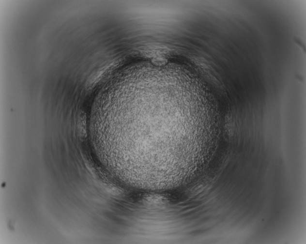 X0000101230547200807111122