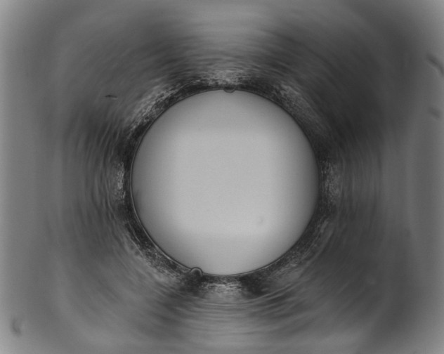 X0000101230548200807111122