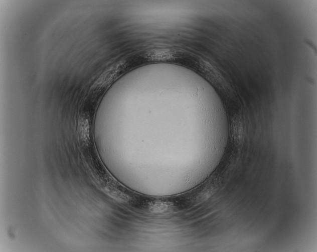 X0000101230549200807111122