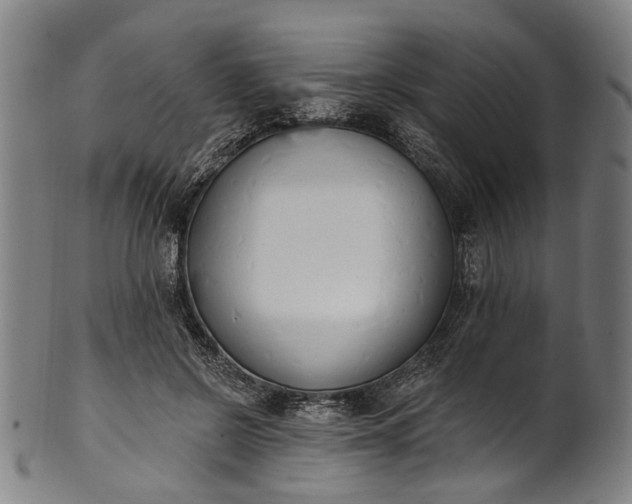 X0000101230550200807111122