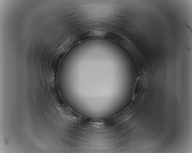 X0000101230552200807111122