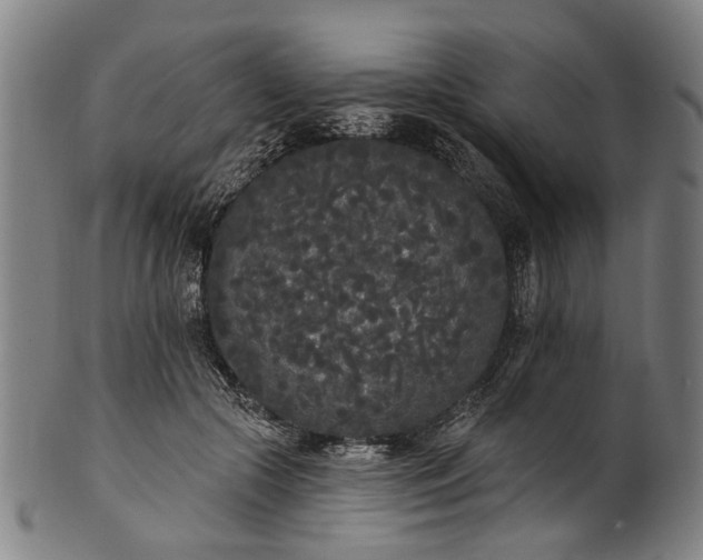 X0000101230553200807111122