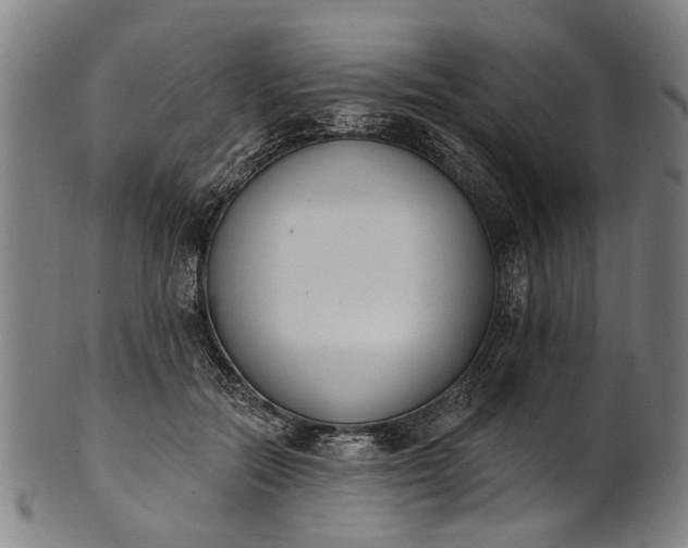 X0000101230554200807111122