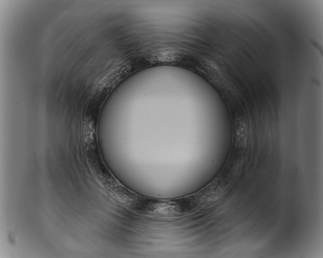 X0000101230555200807111122