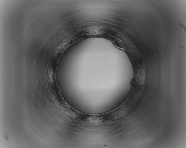 X0000101230556200807111122