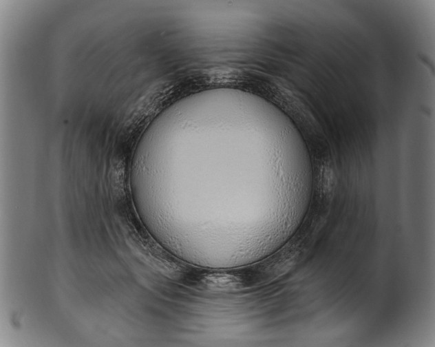 X0000101230557200807111122