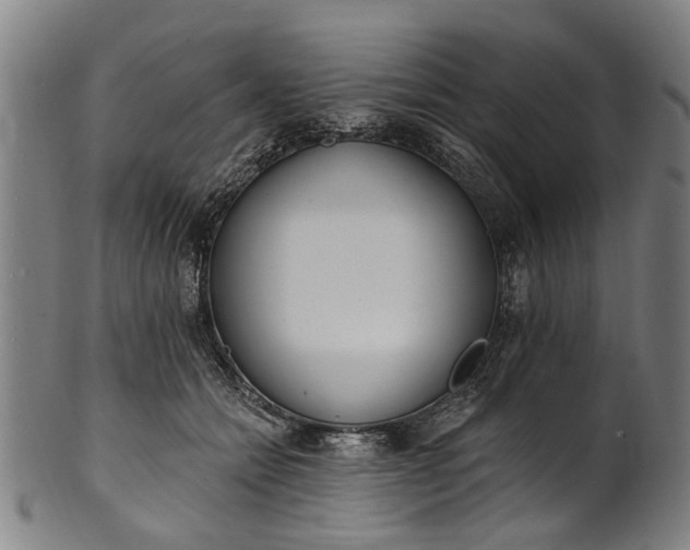 X0000101230558200807111122