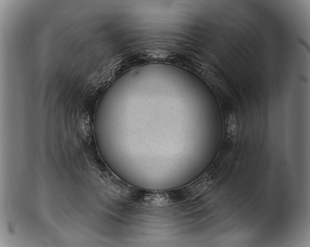 X0000101230559200807111123