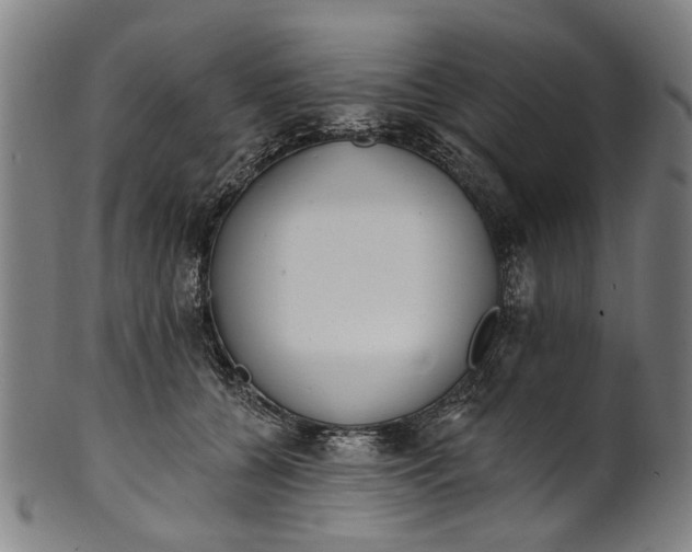 X0000101230560200807111123