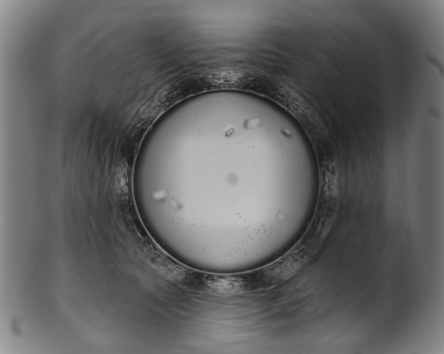 X0000101230561200807111123