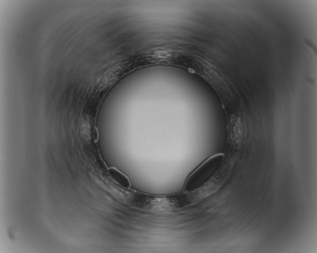 X0000101230562200807111123