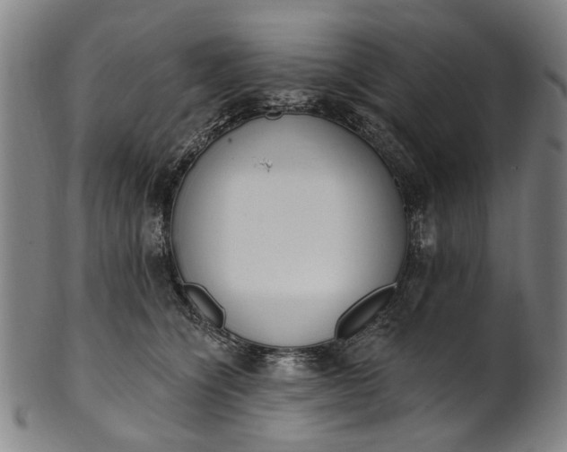 X0000101230564200807111123