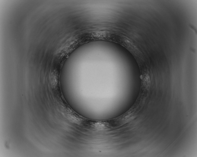 X0000101230566200807111123