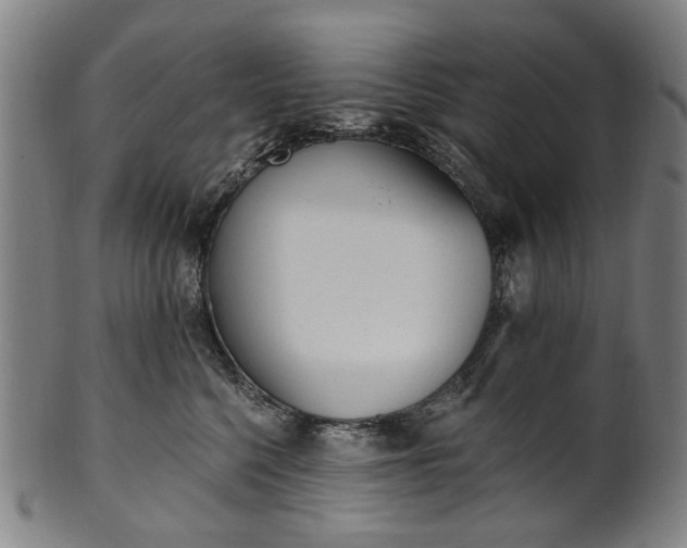 X0000101230568200807111123