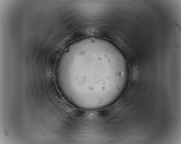 X0000101230569200807111123