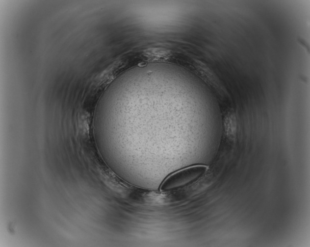 X0000101230570200807111123