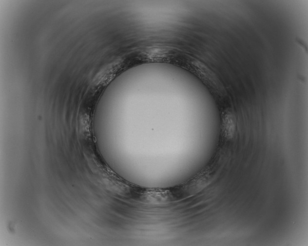 X0000101230571200807111123