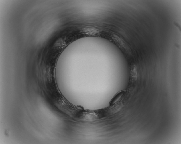 X0000101230572200807111123