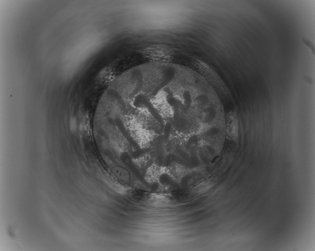 X0000101230573200807111123