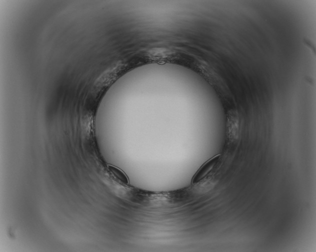 X0000101230574200807111123