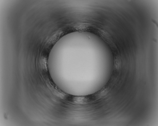 X0000101230575200807111123