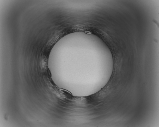 X0000101230576200807111123