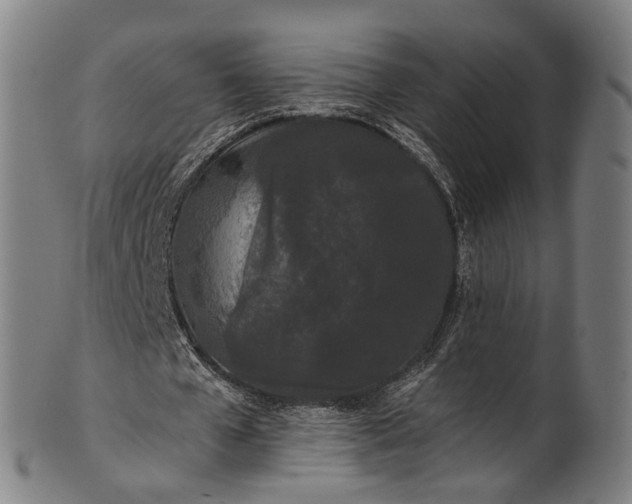 X0000101230577200807111122