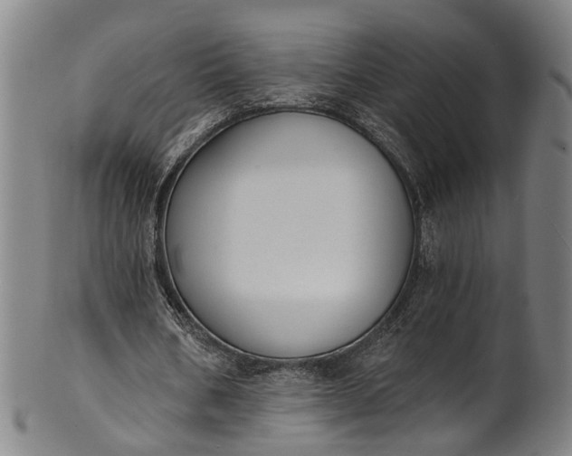 X0000101230578200807111122