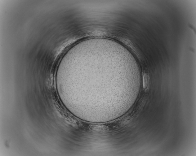 X0000101230579200807111122